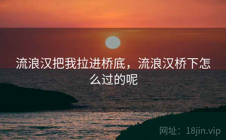 流浪汉把我拉进桥底，流浪汉桥下怎么过的呢